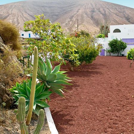 Villa Tranquila Орсола Экстерьер фото